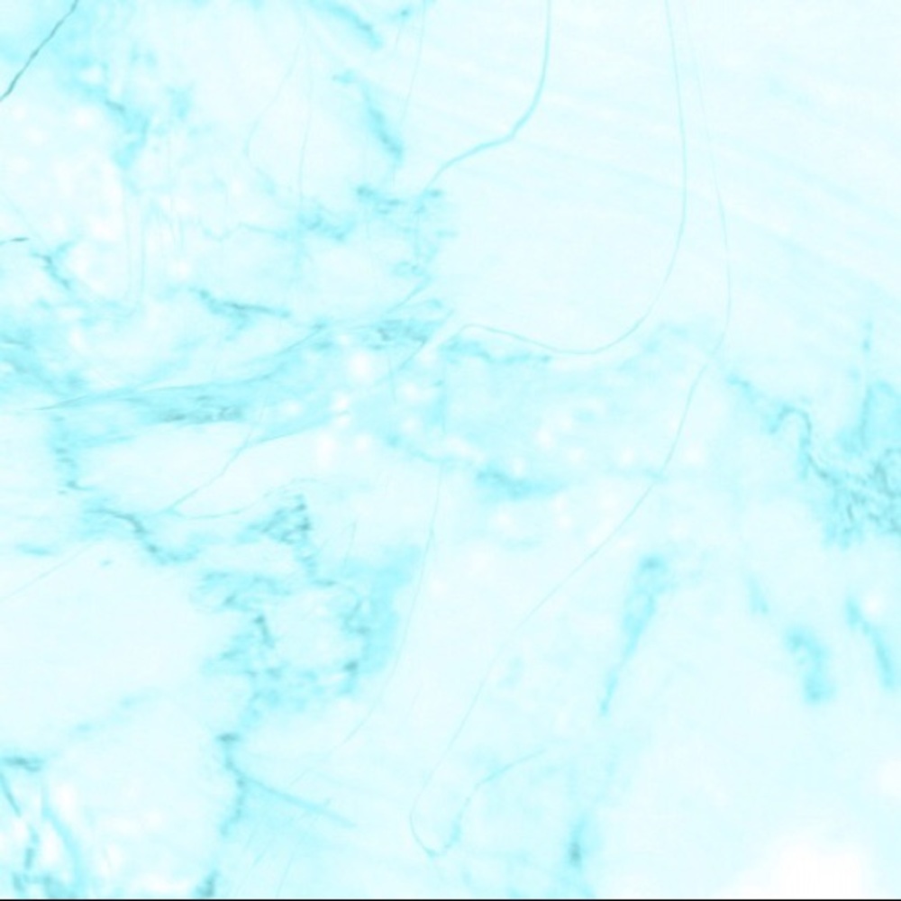 Meet your Posher, Selena